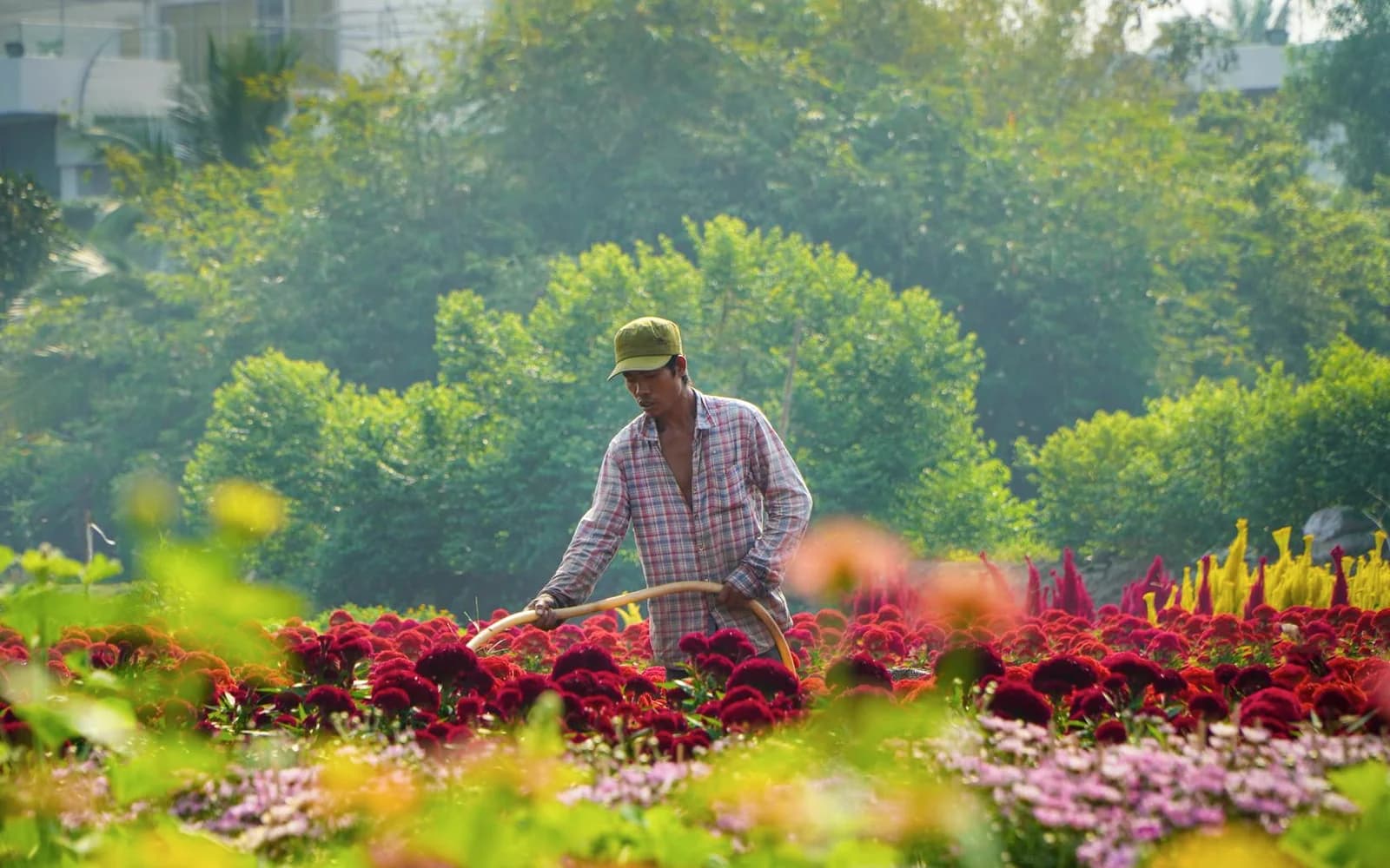 Marketing para jardineros paisajistas - software AdSpark para marketing local de pymes