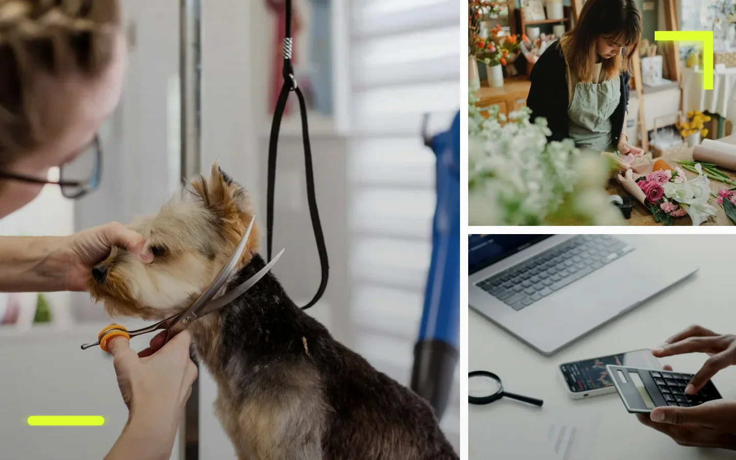 Marketing local para peluquería, cuidado y servicios de mascotas - software AdSpark para marketing local de pymes